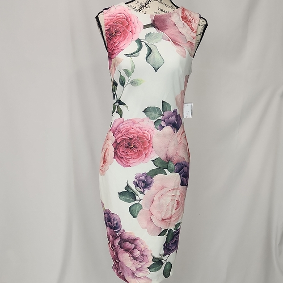 Premier Amour Dresses & Skirts - NWT Premier Amour Large Floral Print Sleeveless Dress, size 2